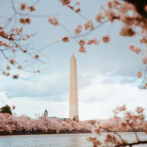 Explore-DC-Events-and-Community-Connections-