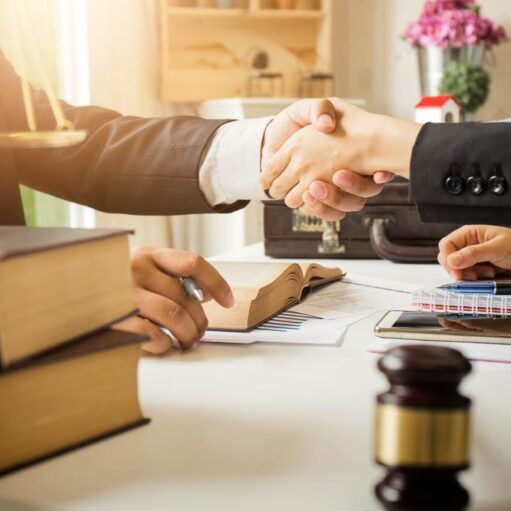 Legal-Expertise-Support-768x511